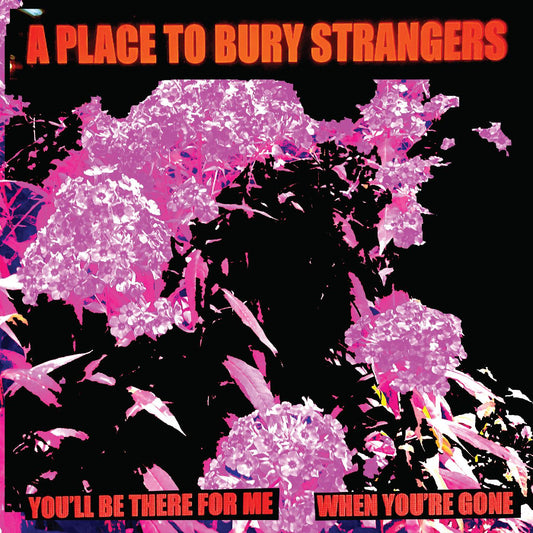 A Place To Bury Strangers You'll Be There For Me/When You're Gone (WHITE VINYL)