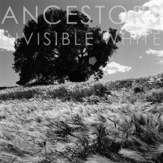 Ancestors Invisible White (OPAQUE GRAY VINYL)