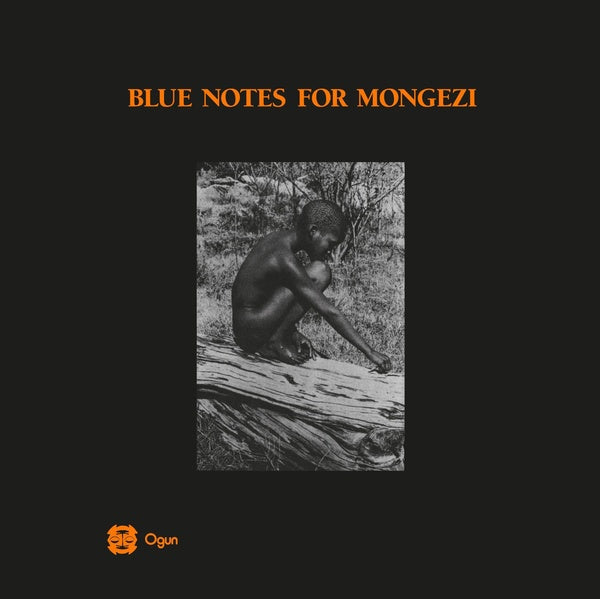 BLUE NOTES Blue Notes For Mongezi