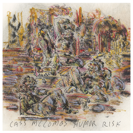 Cass McCombs Humor Risk