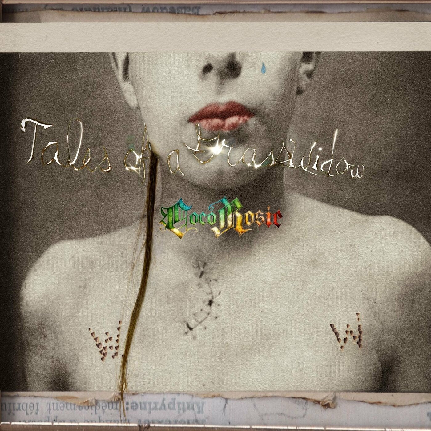 CocoRosie Tales Of A GrassWidow