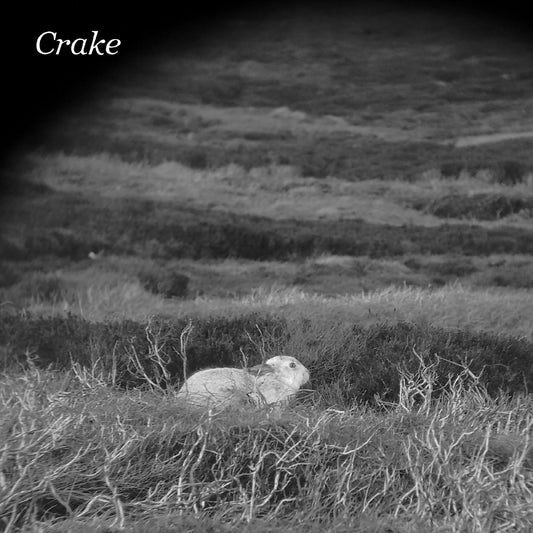 Crake Enough Salt (For All Dogs) b/w Gef