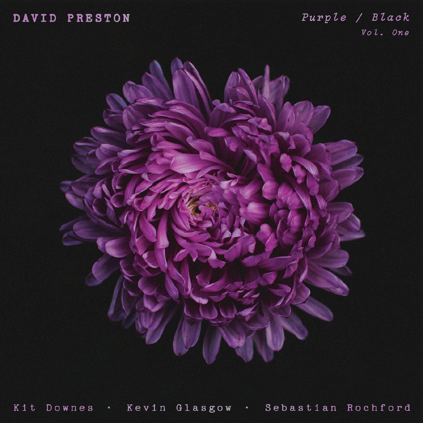 David Preston Purple / Black Vol.1