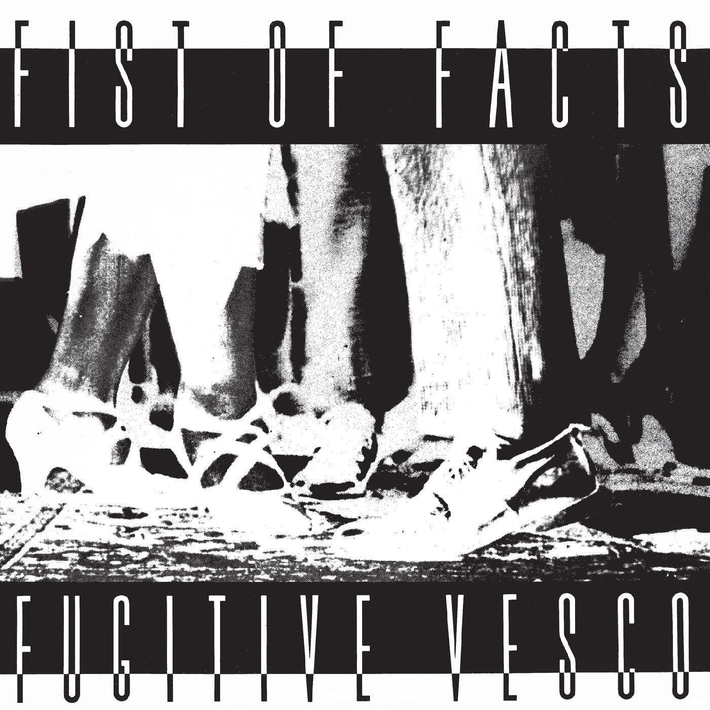 Fist Of Facts Fugitive Vesco