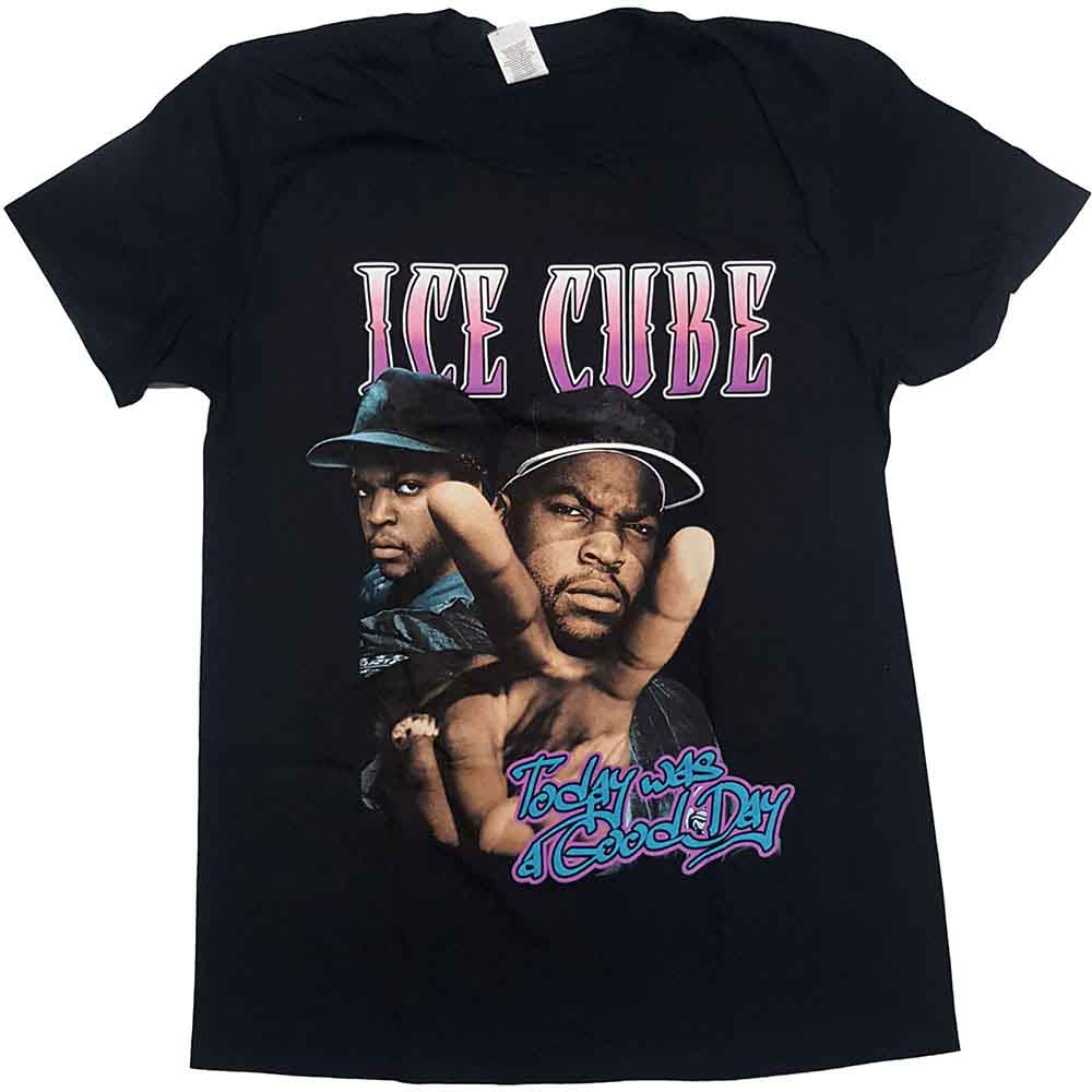 Ice Cube Today Was A Good Day