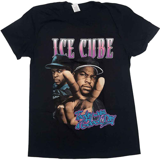 Ice Cube Today Was A Good Day