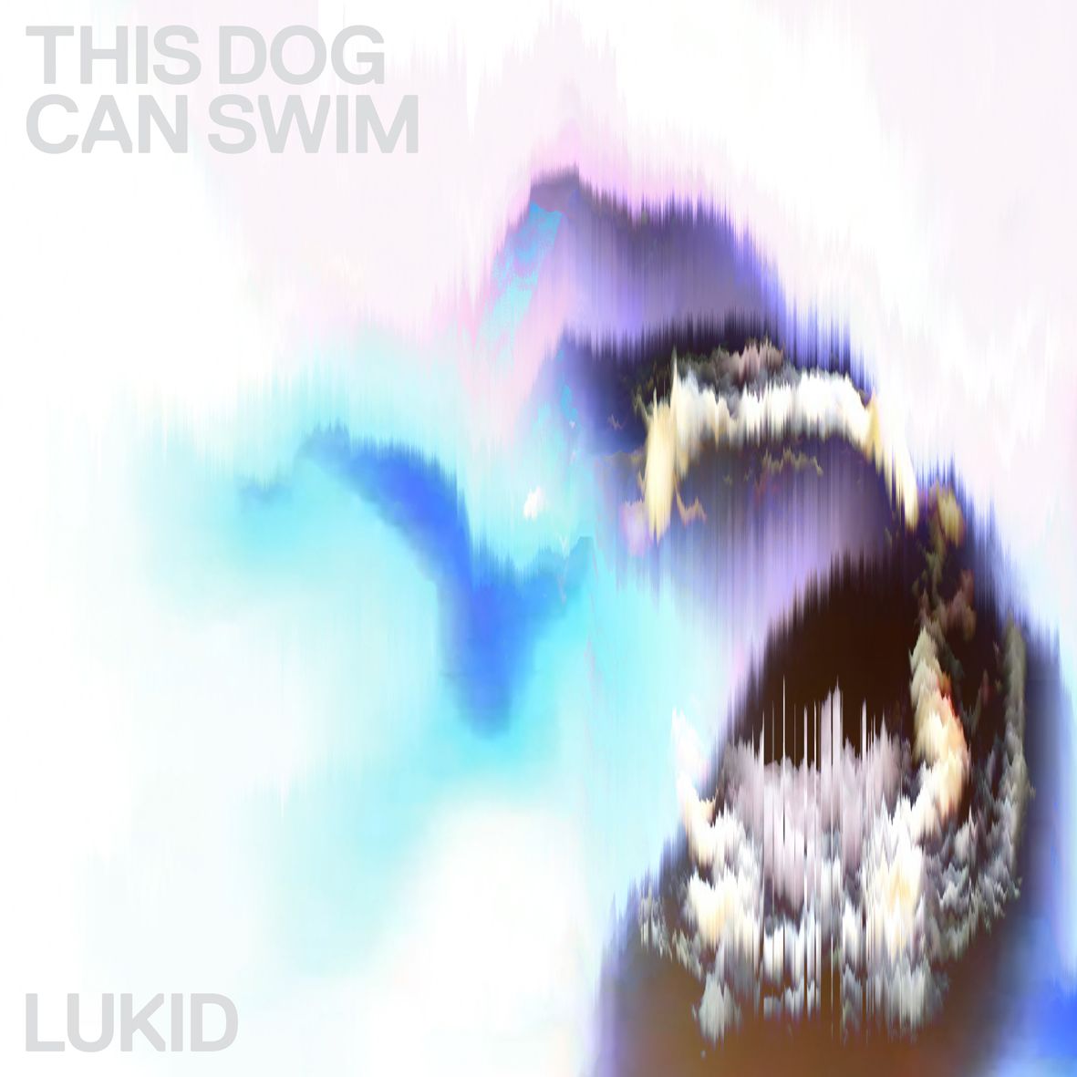 Lukid This Dog Can Swim 12"