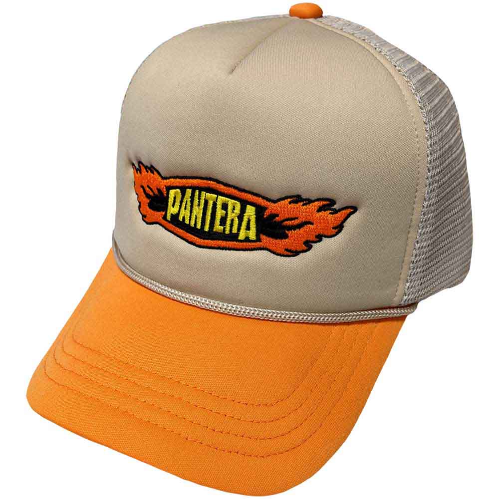 Pantera Flames Logo