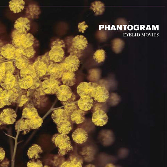 Phantogram Eyelid Movies (DELUXE EDITION, BLACK SWIRLED YELLOW VINYL)