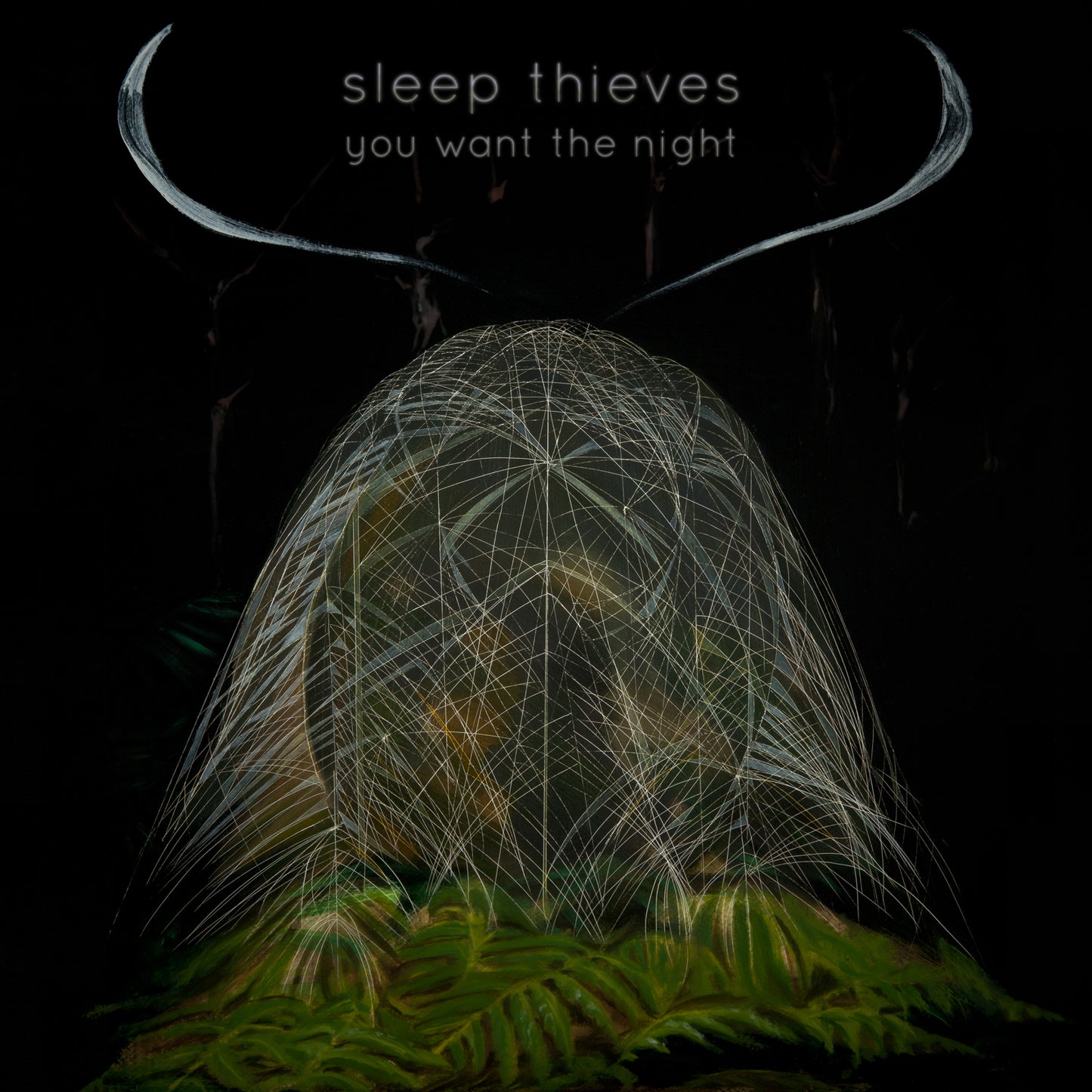 Sleep Thieves You Want The Night