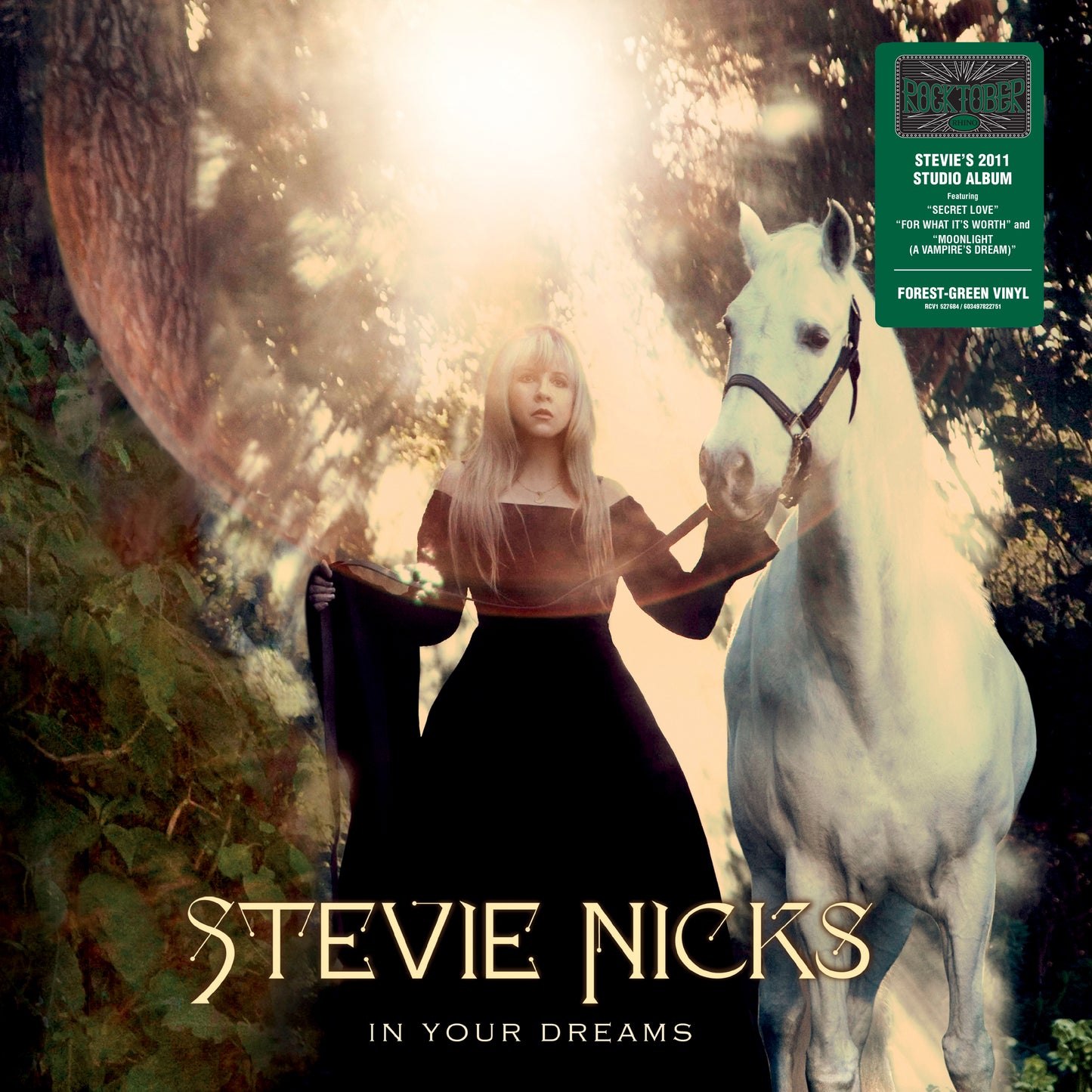 Stevie Nicks In Your Dreams (RKTBR24) (B&MEX)