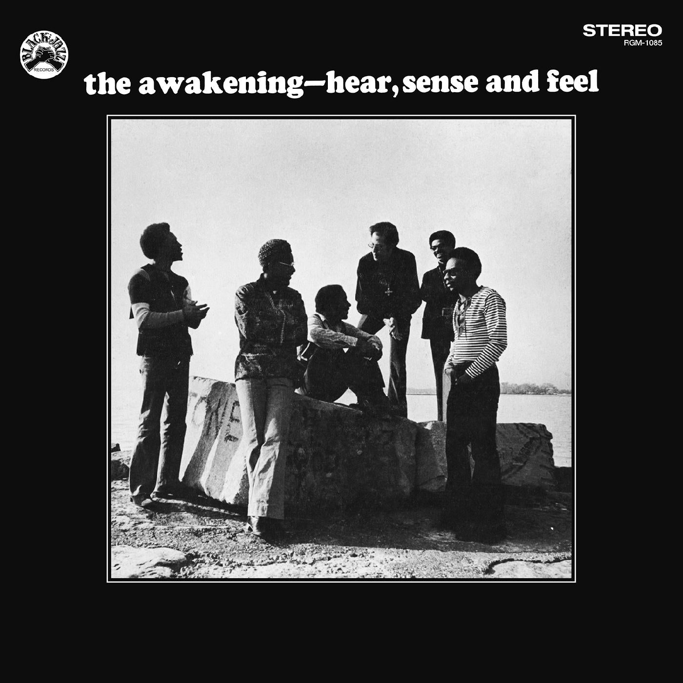 The Awakening Hear, Sense and Feel (Remastered Vinyl Edition)