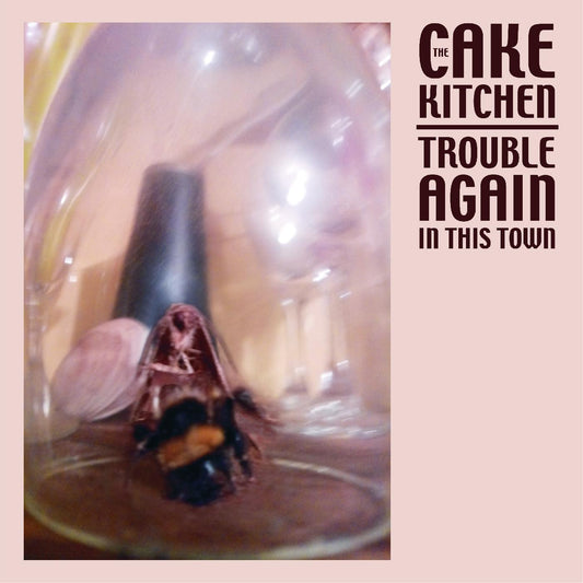 The Cakekitchen Trouble Again In This Town