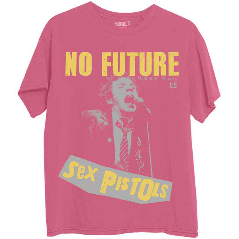 The Sex Pistols No Future