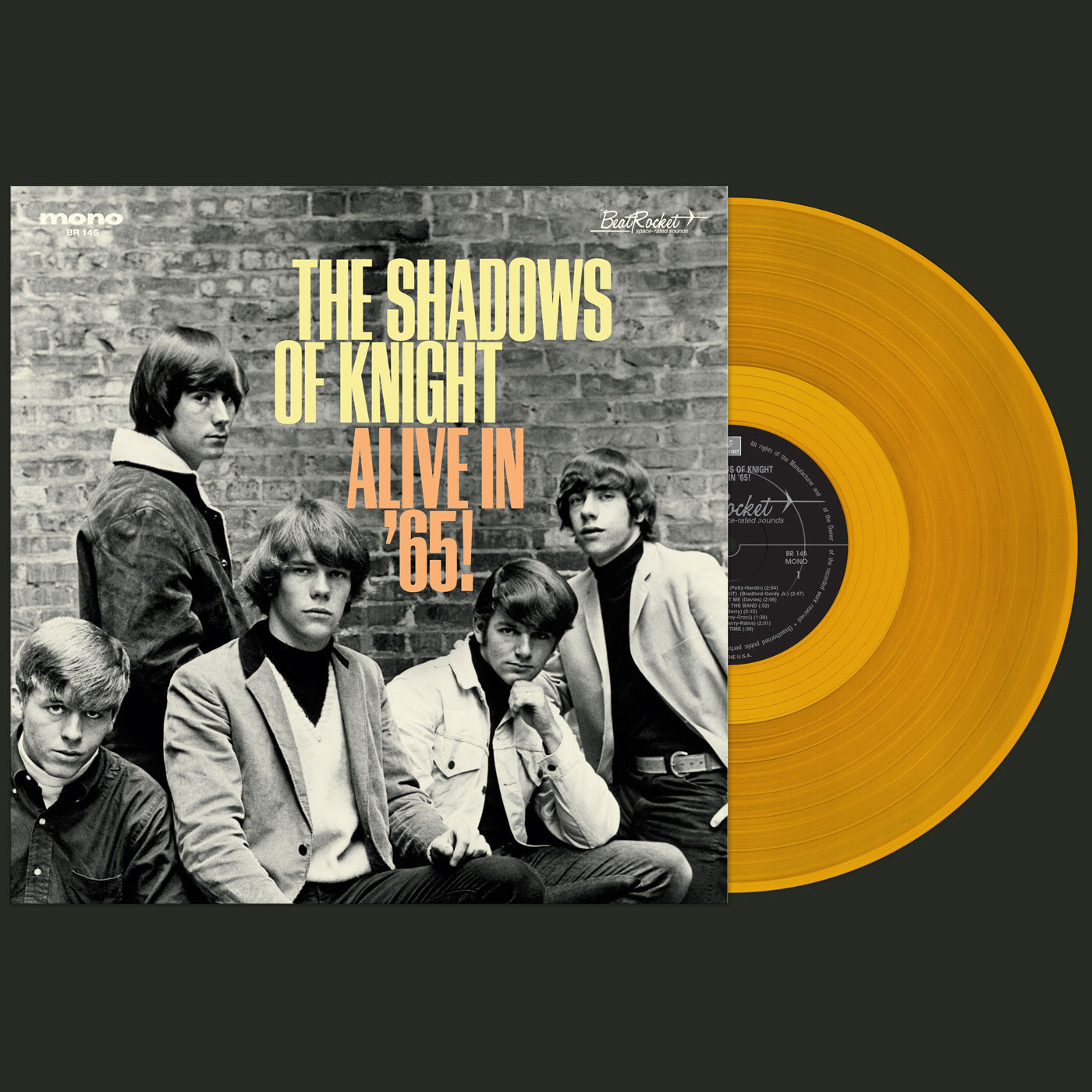 The Shadows Of Knight Alive In '65! (GOLD VINYL)