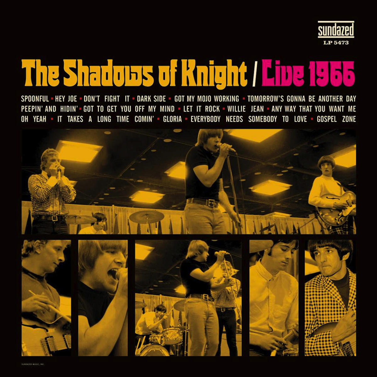 The Shadows Of Knight Live 1966