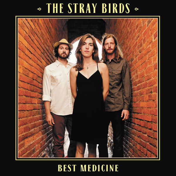 The Stray Birds Best Medicine