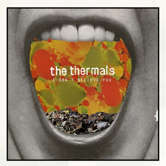 The Thermals I Don't Believe You - 7 Inch