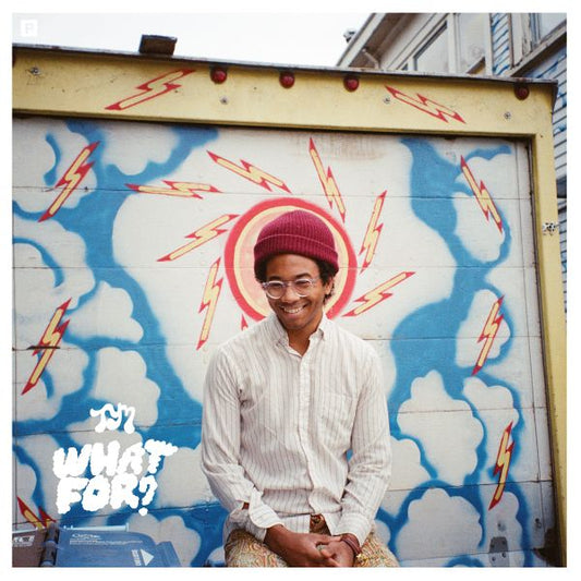 Toro Y Moi What For?