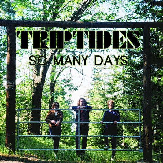 Triptides So Many Days EP