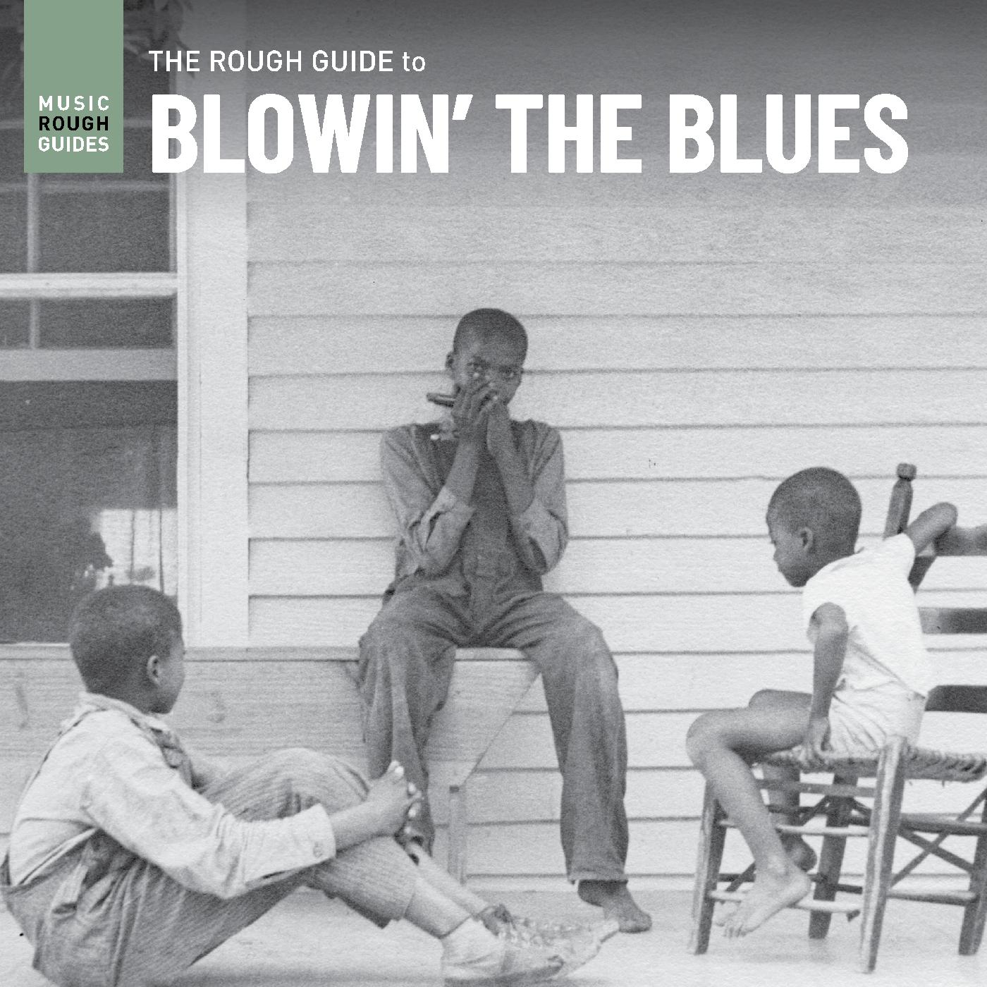 Various Artists Rough Guide To Blowinâ€™ The Blues